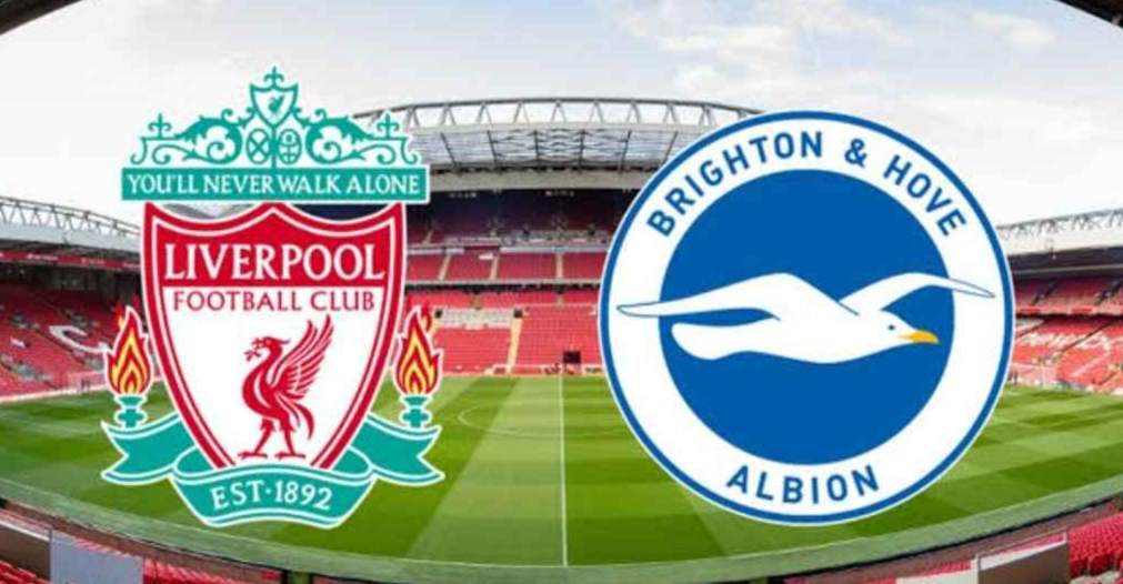 Liverpool vs Brighton: Phượng hoàng sẽ hạ chim mòng biển?